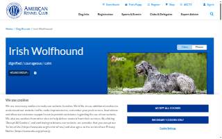Wolfhounds Bar & Grill website