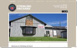 Orchard Meadows Family Dental & Denture Clinic website