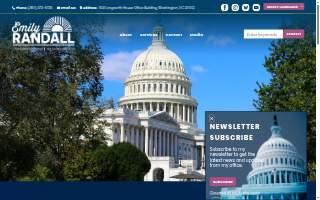 Randall Moss Insurance website