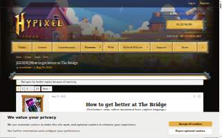 Bridges Chiropractic website