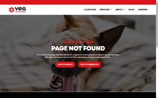 VEG ER for Pets of Burlington website