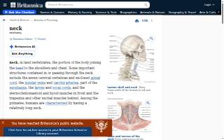 Neck and Back Pain Relief Center website