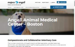 Angell Street Dental Associates website