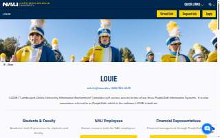 Louie Electric & Son website