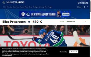 Petterson Electric Inc website