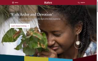 Bates Electric of Charleston website