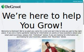 DeGroot CPA website