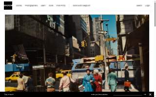 Magnum Insurance Agency of Palatine website