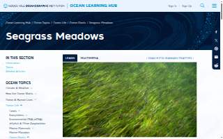 Meadows Farms Nurseries and Landscape of Frederick website