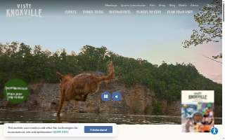 Knoxville Mobile Auto Mechanic website