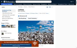 Cotton Law Firm website