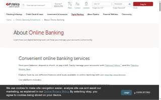 Patel Law Firm website