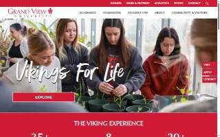 Grandview Family Medicine website