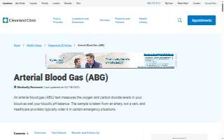 ABG's Bar website