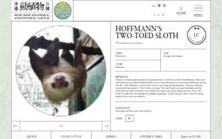 Hoffmann Energy website