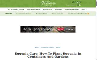 Eugenia's Hair Salon website