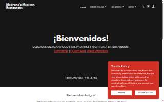 Medrano & Sons Construction LLC website