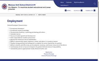 Massac County Surgery Center website
