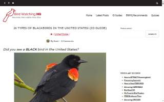 Blackbird Salon website
