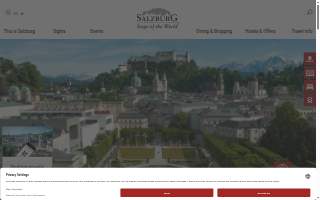Salzberg Insurance Agency website