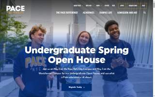 The Pace Agency LLC: Allstate Insurance website