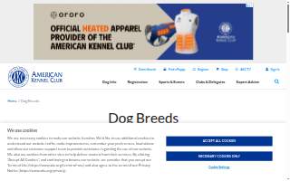 Dog Ear Books & Wild Fox Coffee website
