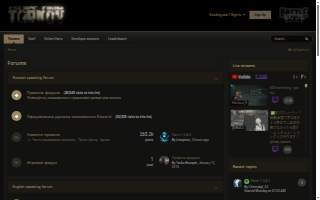 BSG Advisers - Arlington website