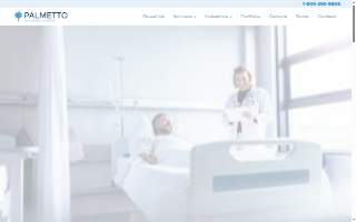 Palmetto Air & Water Balance website