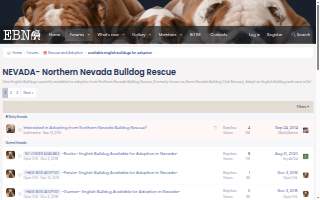 The Bulldog Tap website