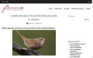 Wren Building Co. website