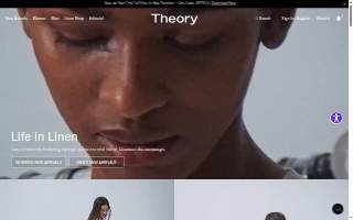 Theory Salons website