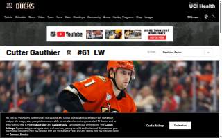 Gauthier and Sons Construction, Inc. website