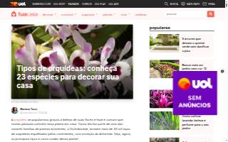 Froistad & Associates Inc website