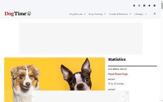 Bossie Electric website