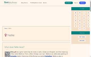 Nellie's Tavern website