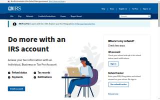 Tax Professionals Inc of Mobile website
