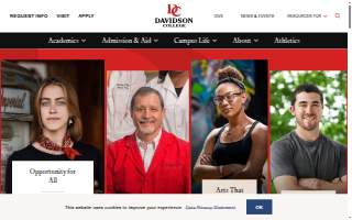 Davidson Mechanical website