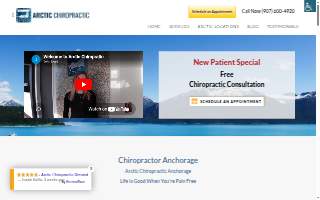 Arctic Chiropractic South website