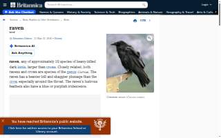 Raven Electric Inc website