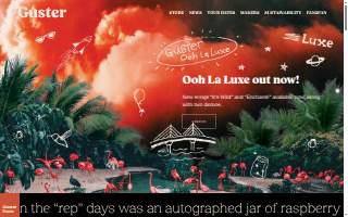 Guster Law Firm, LLC website