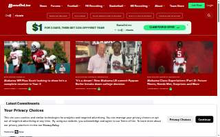 Bama Boys BBQ and Soul Food, LLC website