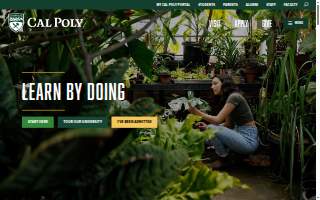 Cala Coffee Downtown website