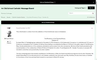 Dominican Blower Salon & Spa website