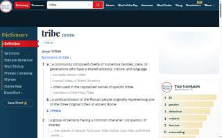 Tribe Salon website