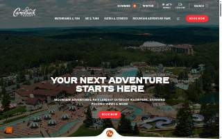 Camelback World Auto website