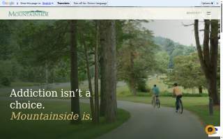 Mountainside Home Realty website