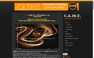 Caine & Associates website