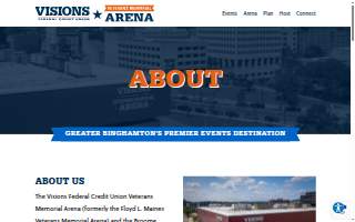 Arena Chiropractic Clinic website