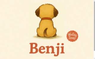 Benji Personal Injury Accident Attorneys, A.P.C. - Anaheim website