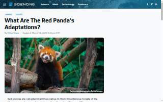 Sandrini's Public House website